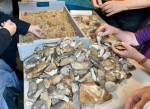 arkæologiske fund stenalder samsø